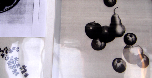 still life (study)