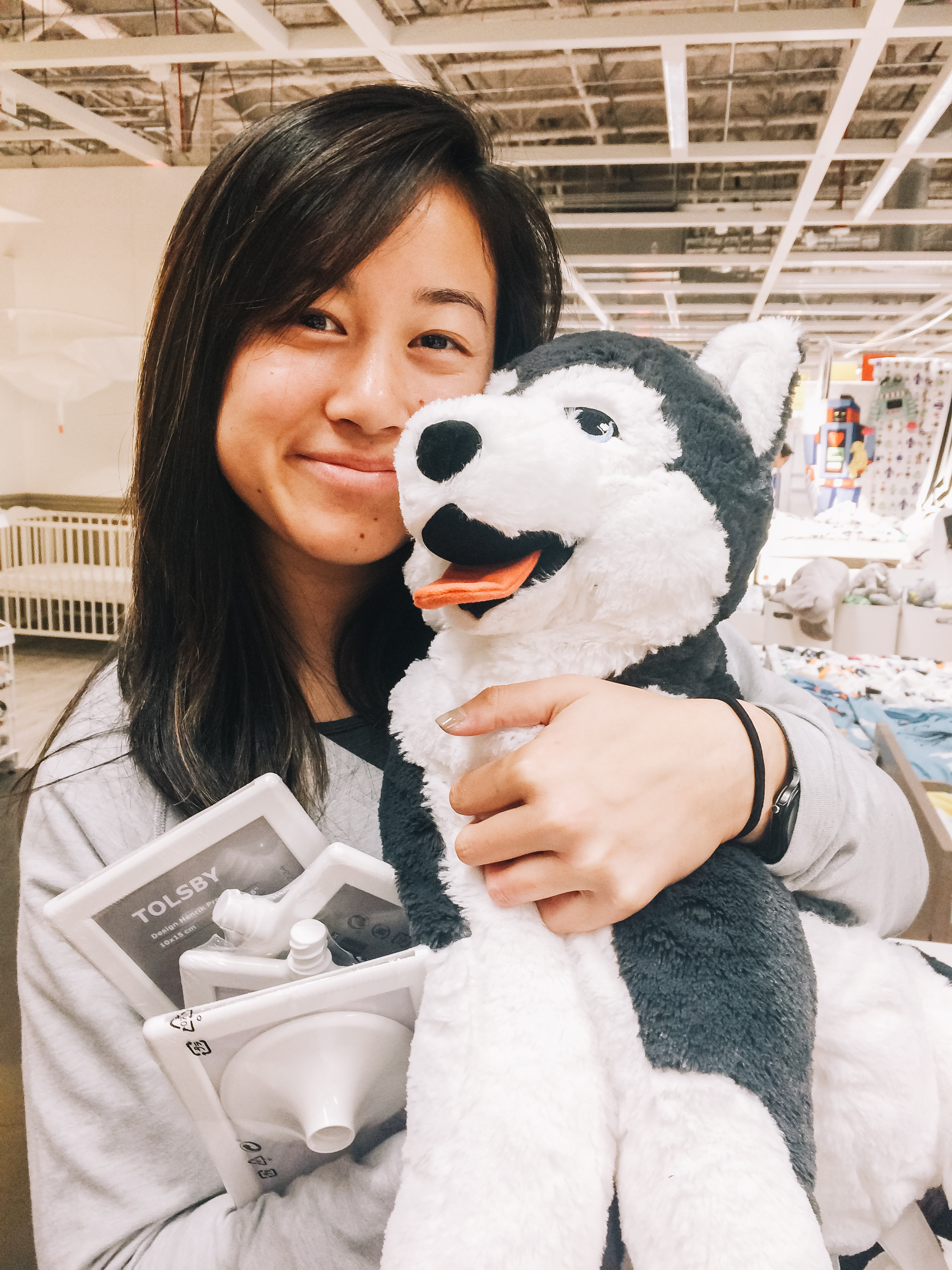 stuffed husky in burbank, 2017