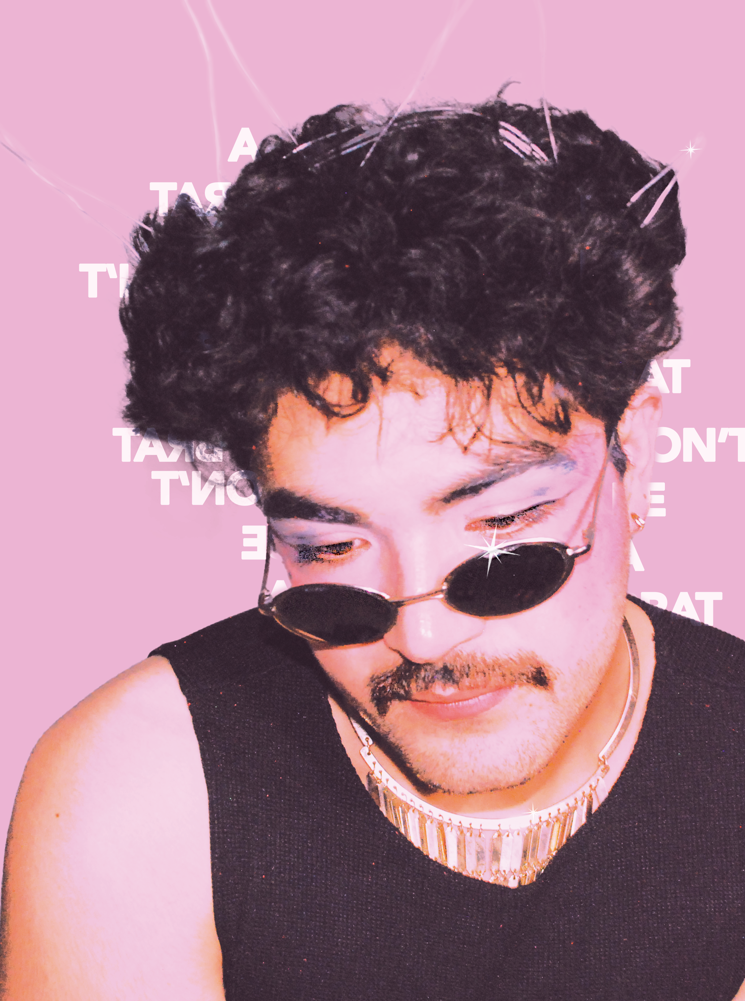 Project 1 Sub Image 1