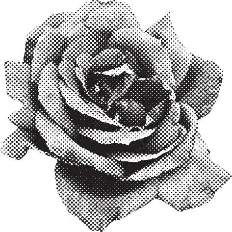halftone rose